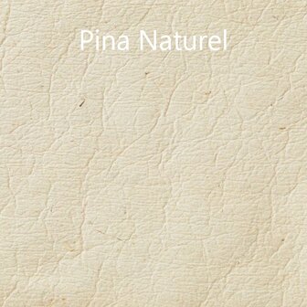 Pina Naturel