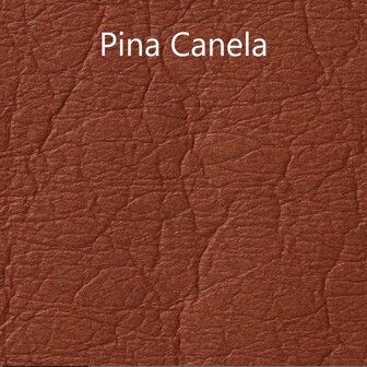 Pina Canela
