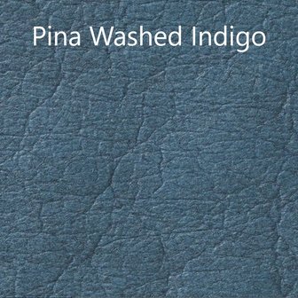 Pina Washed Indigo