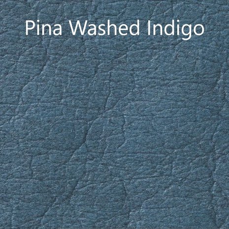 Pina Washed Indigo