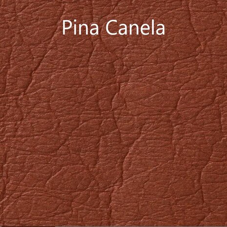 Pina Canela