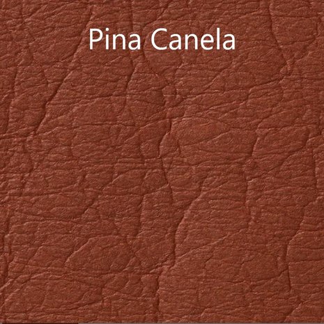Pina Canela