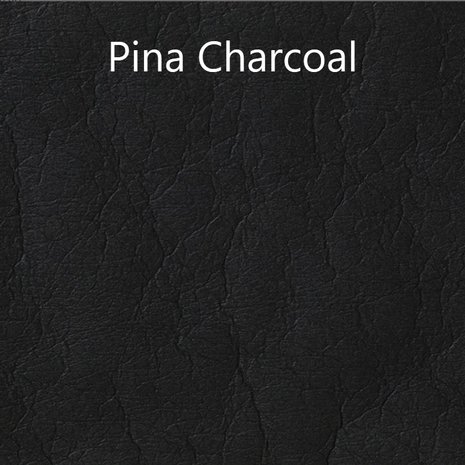 Pina Charcoal